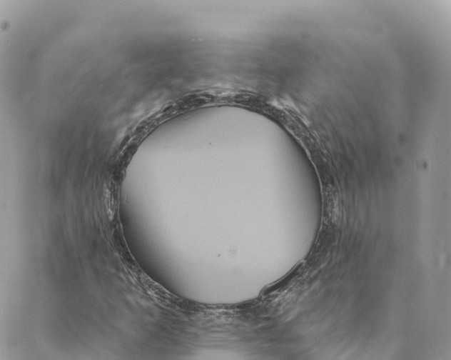 X0000088591253200706221332