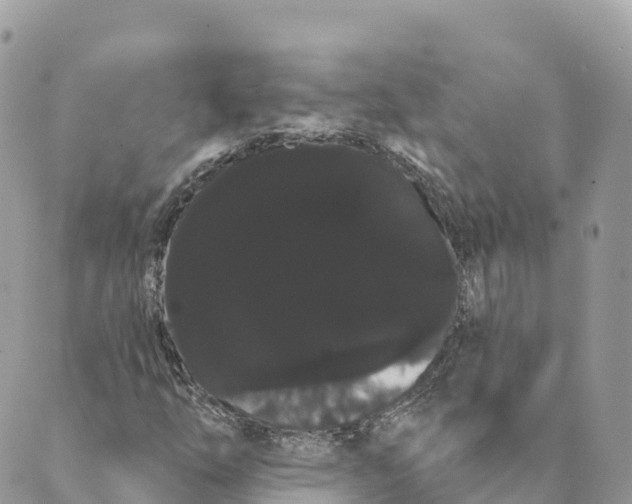 X0000088591254200706221332