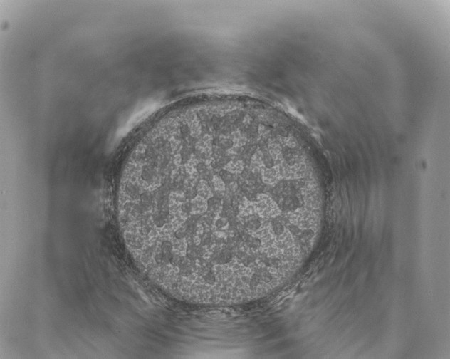 X0000088591255200706221332