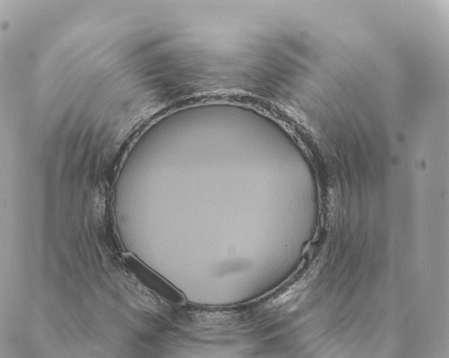 X0000088591257200706221332