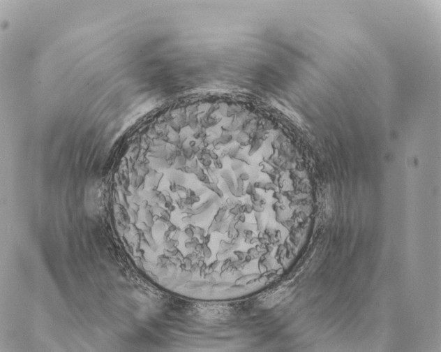 X0000088591258200706221332