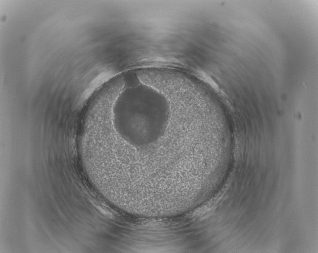 X0000088591259200706221332