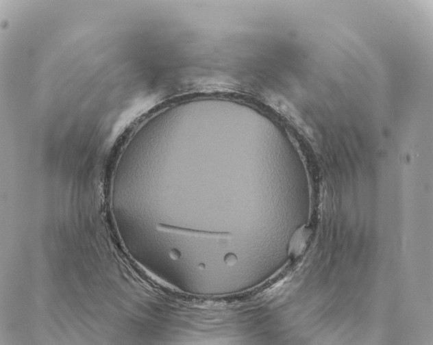 X0000088591261200706221332