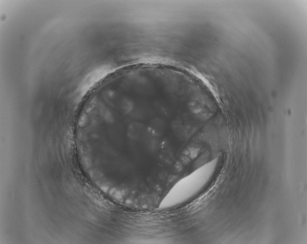 X0000088591263200706221332