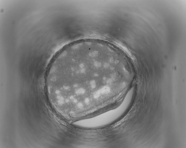 X0000088591264200706221332