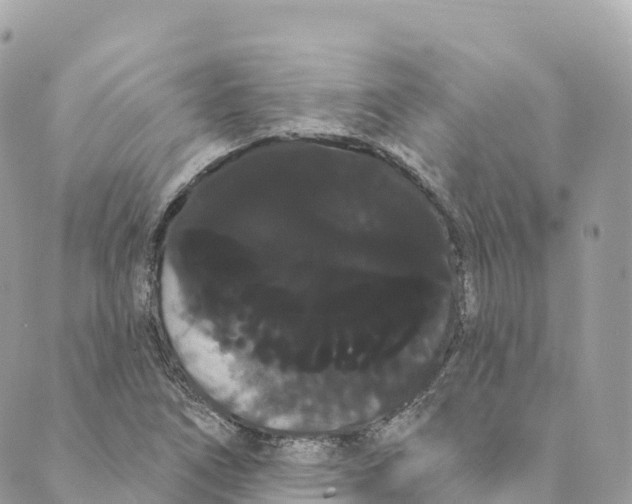 X0000088591266200706221332