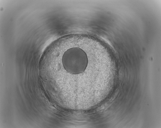 X0000088591267200706221332