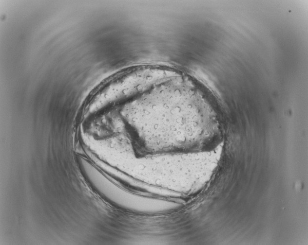 X0000088591268200706221332