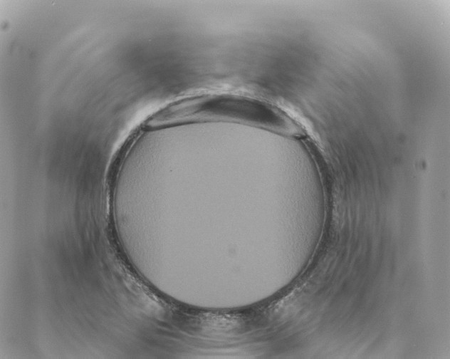 X0000088591270200706221332