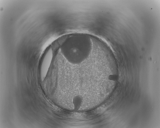 X0000088591271200706221332