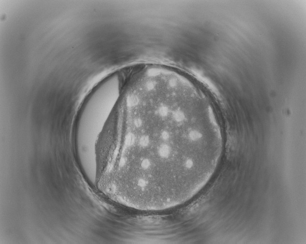 X0000088591272200706221332