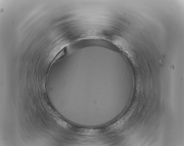 X0000088591273200706221332