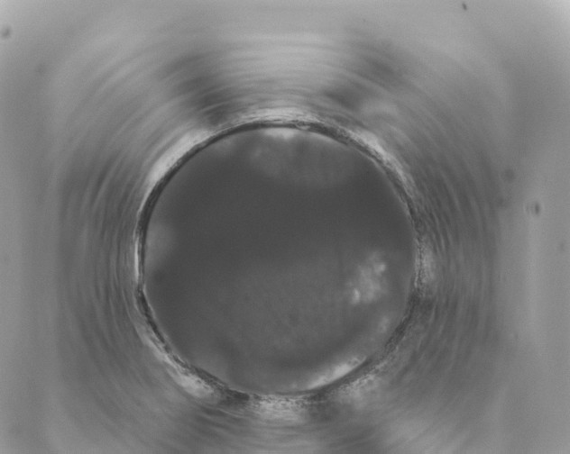 X0000088591274200706221332