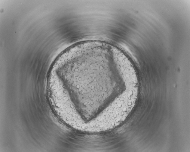 X0000088591276200706221332