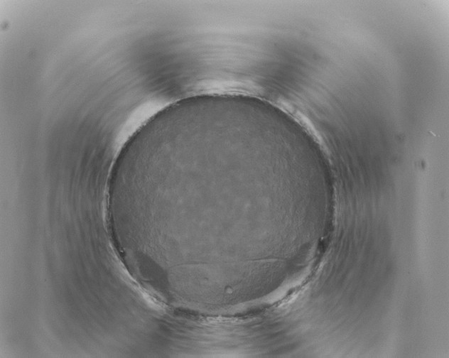 X0000088591277200706221332