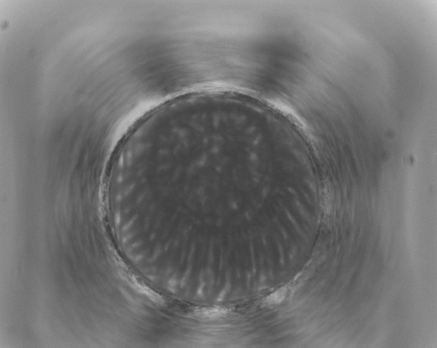 X0000088591278200706221332