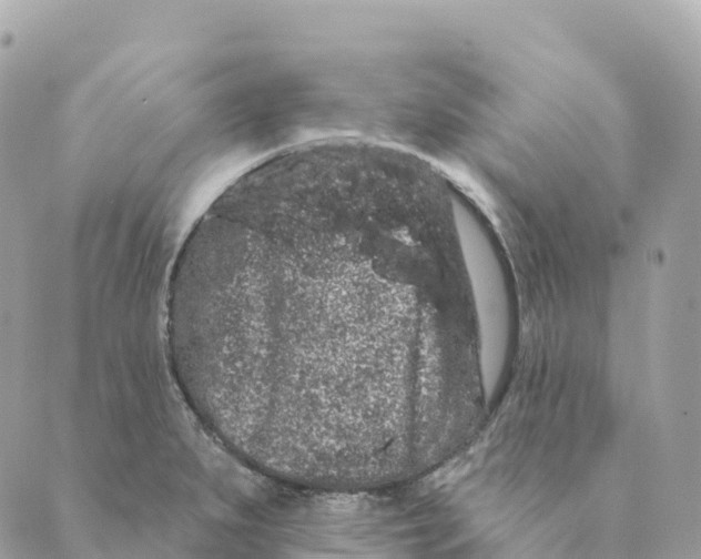 X0000088591279200706221332