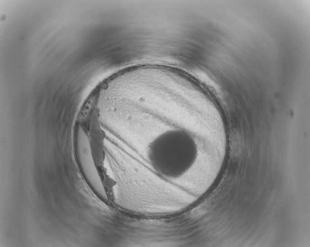 X0000088591280200706221332