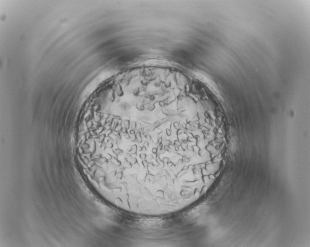 X0000088591282200706221332