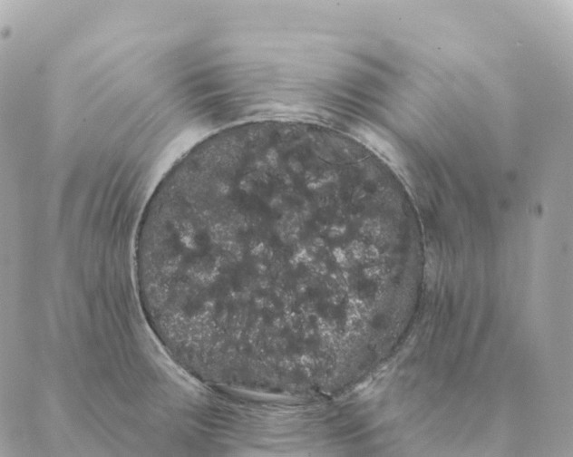 X0000088591283200706221332