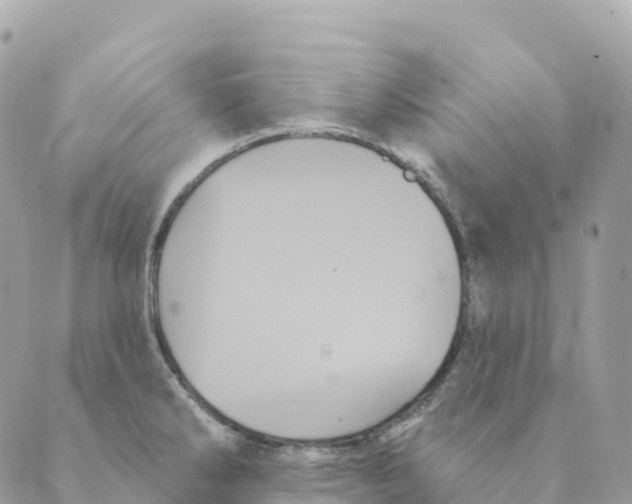 X0000088591286200706221332