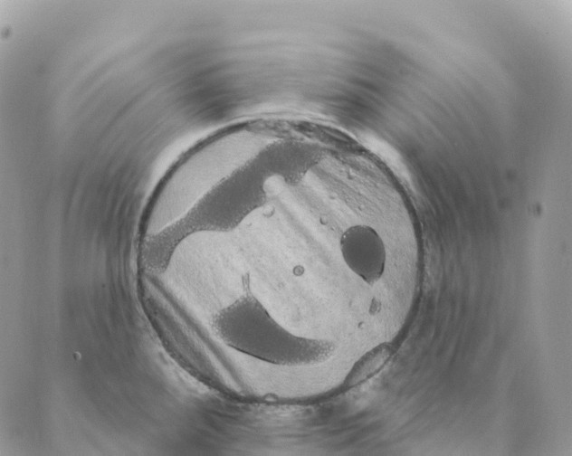 X0000088591288200706221332