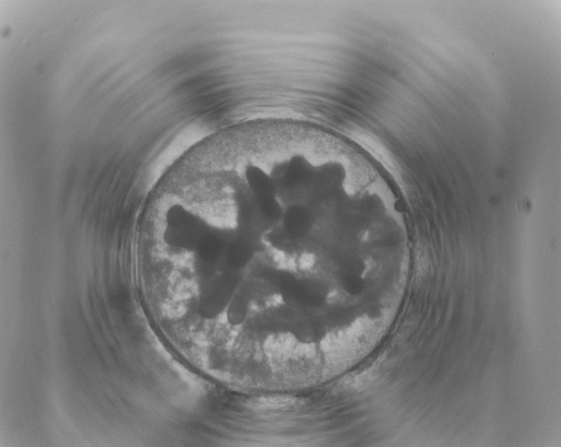 X0000088591290200706221332