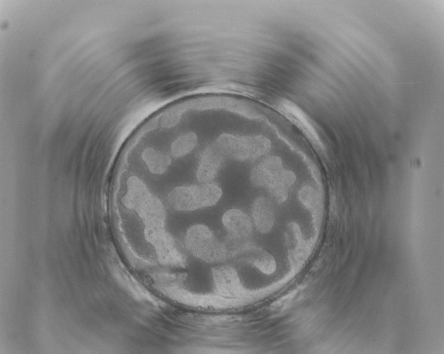 X0000088591292200706221332