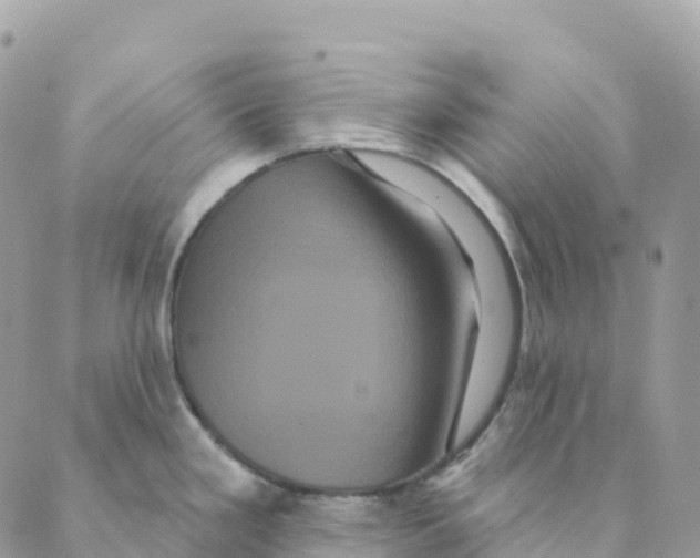 X0000088591293200706221332