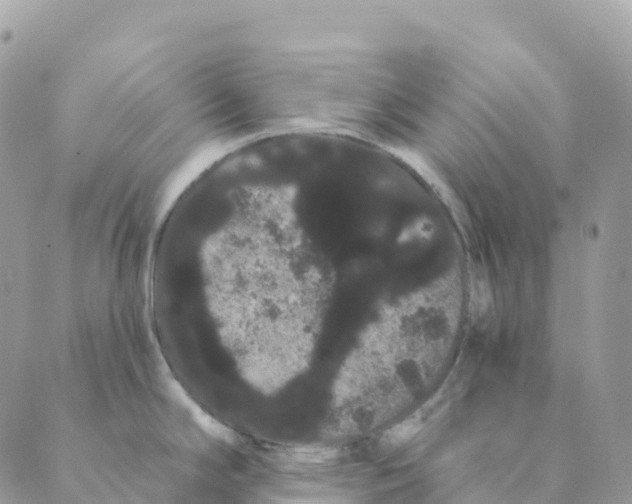 X0000088591294200706221332