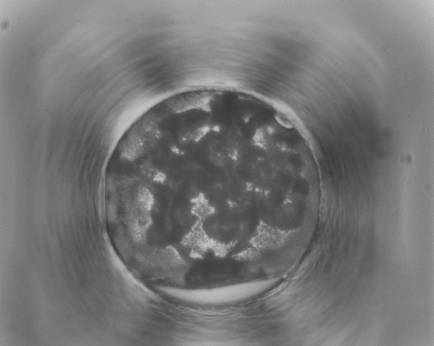 X0000088591295200706221332