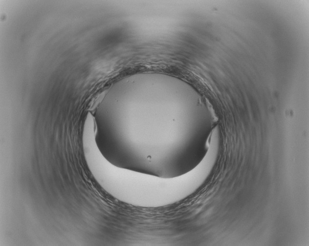 X0000088591298200706221331