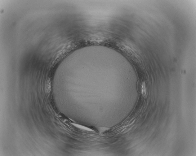 X0000088591299200706221331