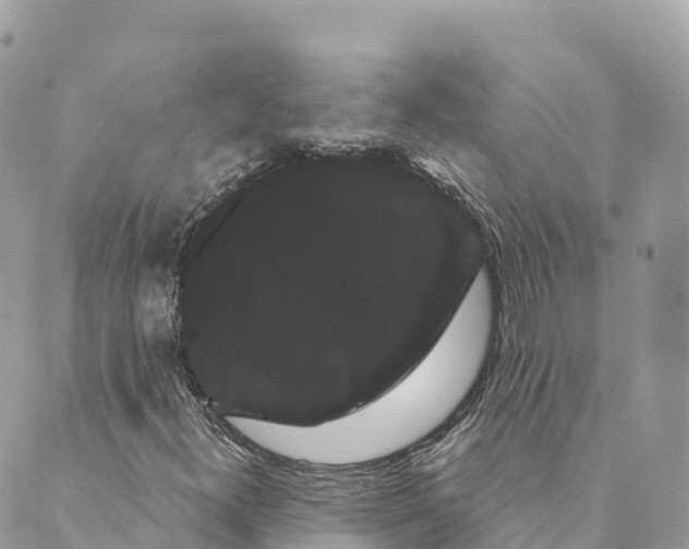 X0000088591300200706221331