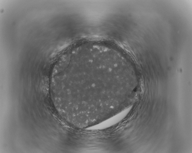 X0000088591301200706221331