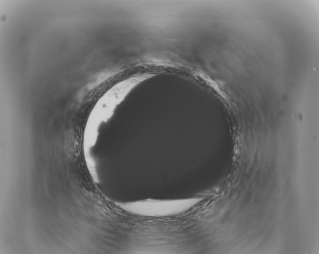 X0000088591303200706221331