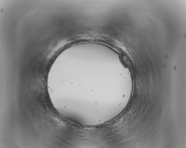 X0000088591304200706221331