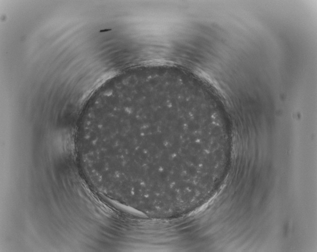 X0000088591305200706221331