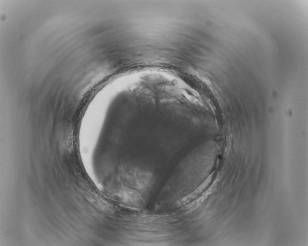 X0000088591306200706221331