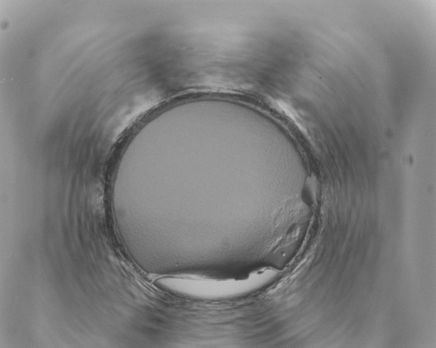 X0000088591307200706221331