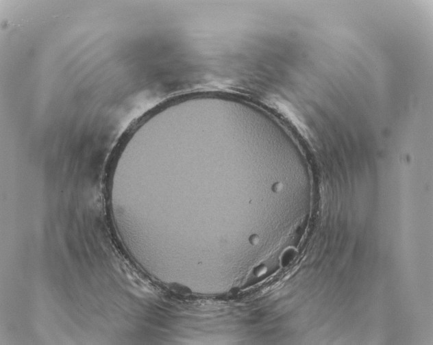 X0000088591308200706221331