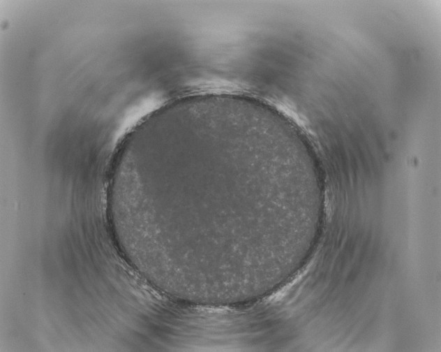 X0000088591309200706221331