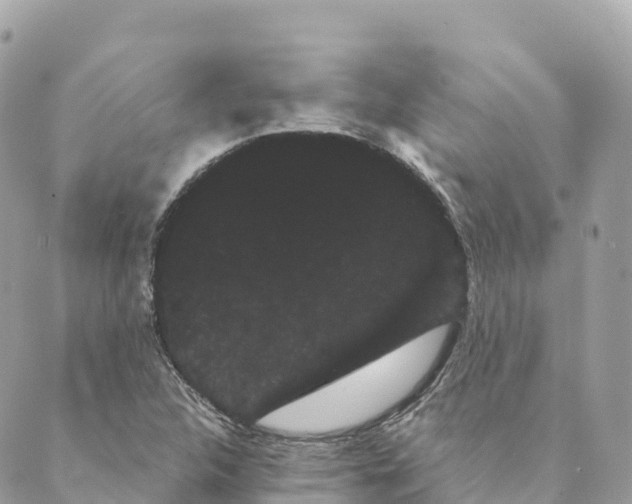 X0000088591312200706221331