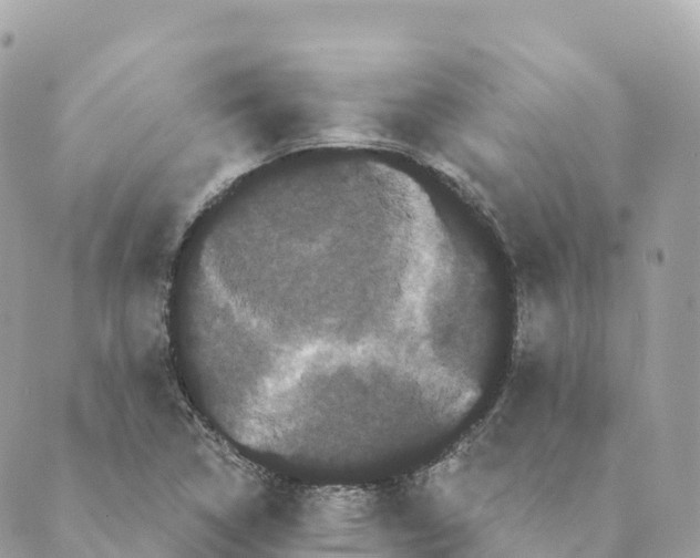 X0000088591314200706221331