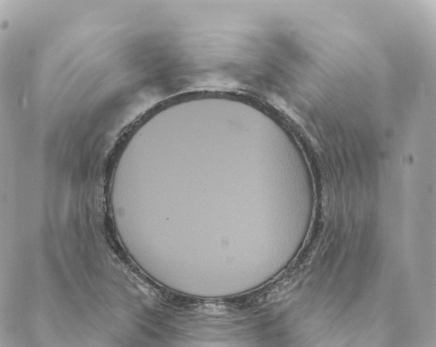 X0000088591315200706221331