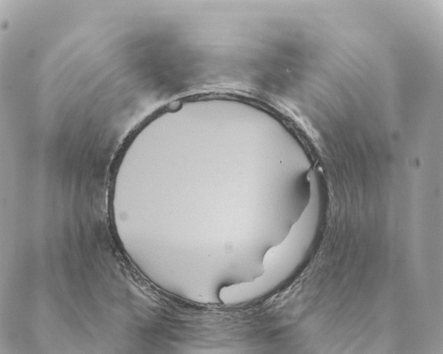 X0000088591316200706221331