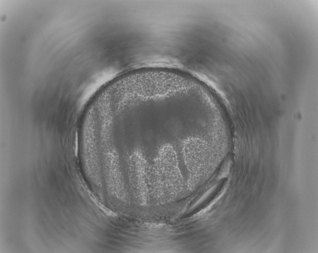 X0000088591317200706221331