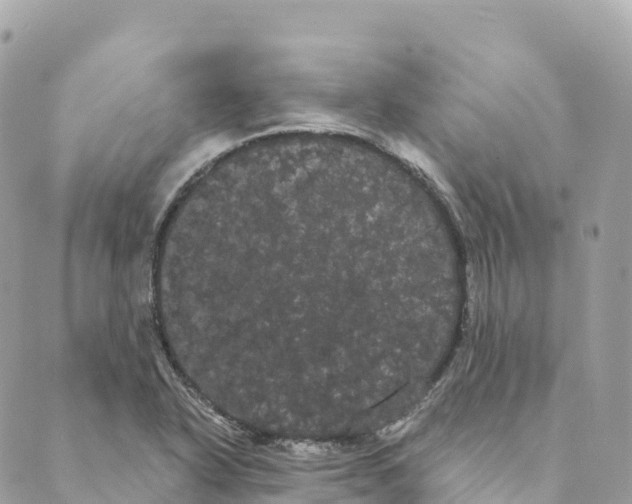 X0000088591318200706221331