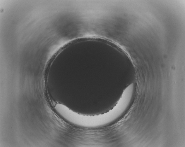 X0000088591319200706221331