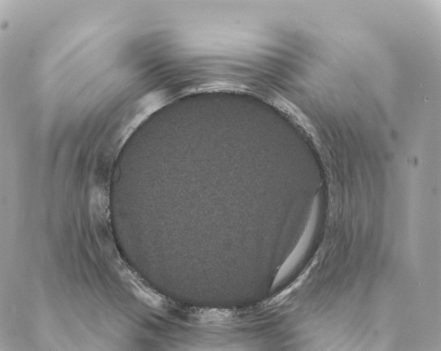 X0000088591321200706221331